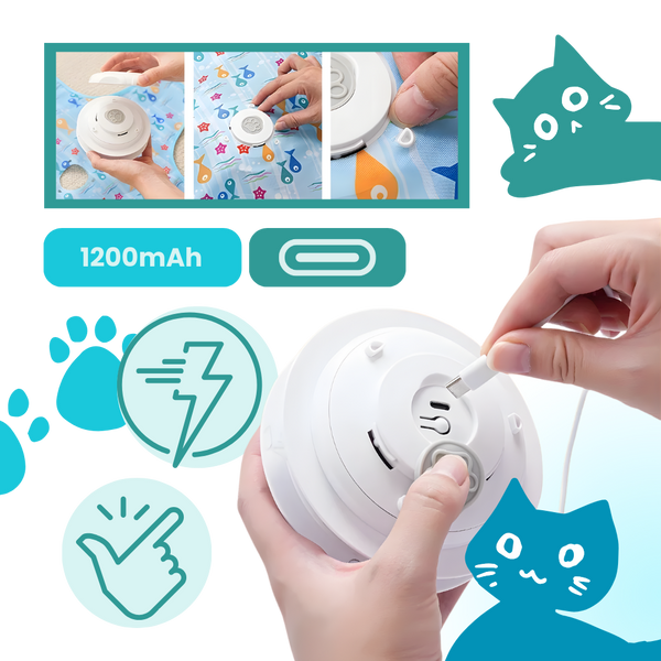 Smart Motion Kitten Teething Feather Toy For Interactive Indoor Play