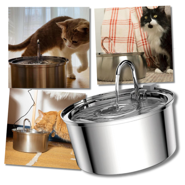 Large Capacity Cat Water Fountain for Hydration and Quiet Operation