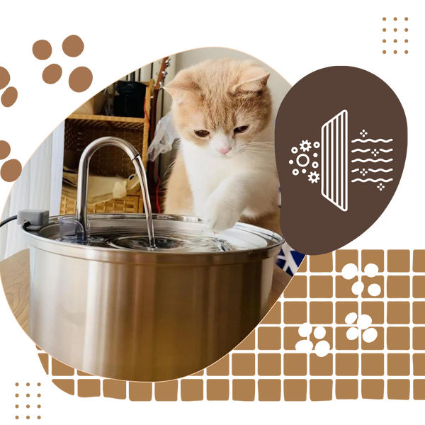 Large Capacity Cat Water Fountain for Hydration and Quiet Operation
