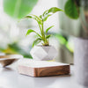 Levitating Magnetic Flower Pot Mid Air Plant Display For Home Office Decor