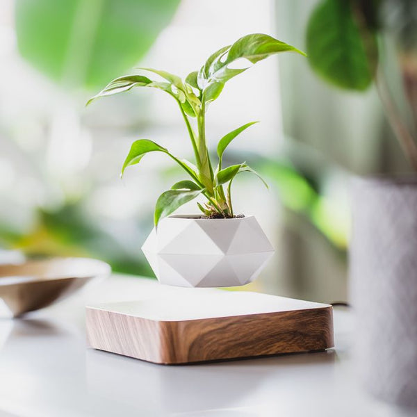 Levitating Magnetic Flower Pot Mid Air Plant Display For Home Office Decor