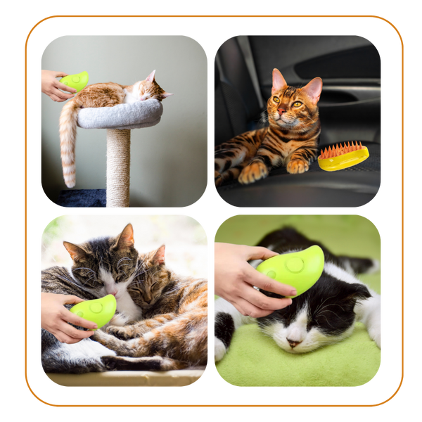 Cat Grooming Slicker Brush With Massage And Water Spray