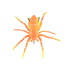 Lifelike Movement Spider Lures for Freshwater and Saltwater Fishing
