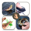 Lifelike Movement Spider Lures for Freshwater and Saltwater Fishing