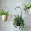 Modern Minimalist Iron Hanging Plant Pot Metal Indoor Outdoor Decor