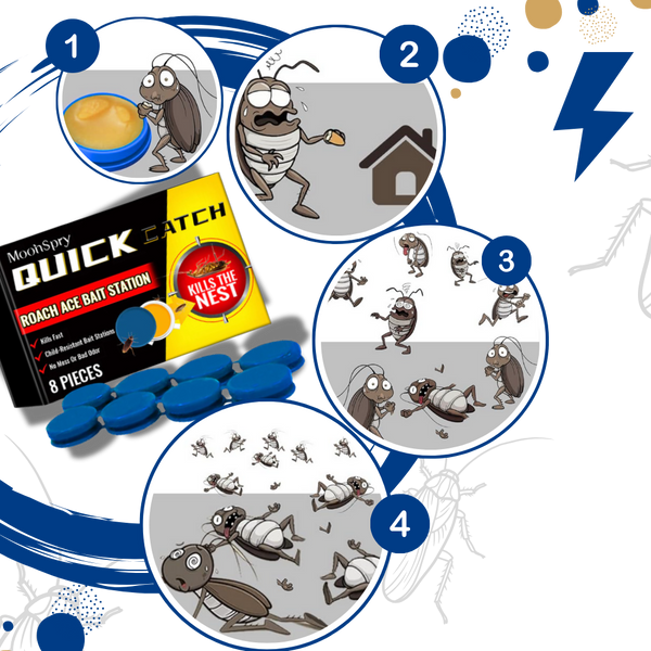 Odorless Roach Gel Traps For Safe, Slow-Acting Elimination