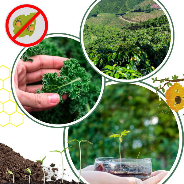Organic Soil Activator for Strong Roots and Better Structure