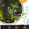 Organic Soil Activator for Strong Roots and Better Structure