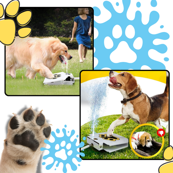 Paw Operated Dog Water Fountain Delivers Fresh Hydration On Demand