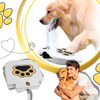 Paw Operated Dog Water Fountain Delivers Fresh Hydration On Demand