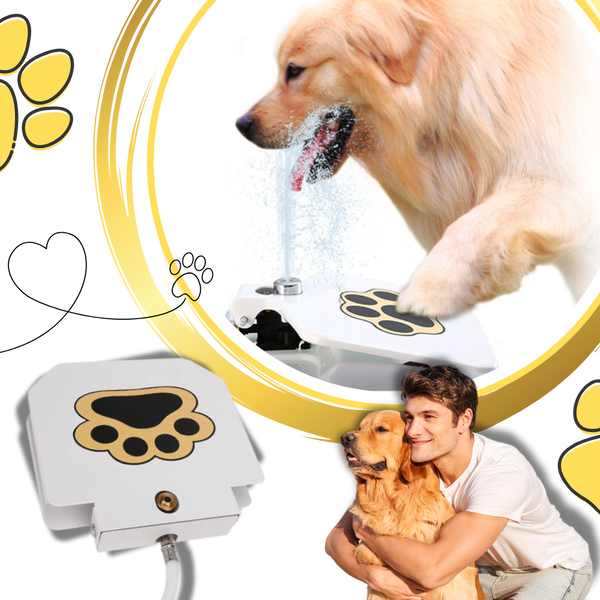 Paw Operated Dog Water Fountain Delivers Fresh Hydration On Demand