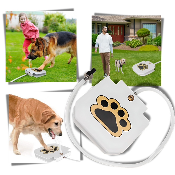 Paw Operated Dog Water Fountain Delivers Fresh Hydration On Demand