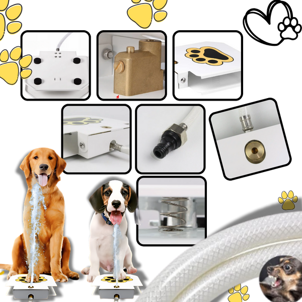 Paw Operated Dog Water Fountain Delivers Fresh Hydration On Demand