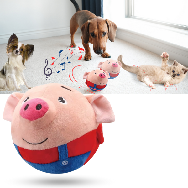 Motion Activated Pet Toy With Bounce Sensor For Engagement And Anxiety Relief
