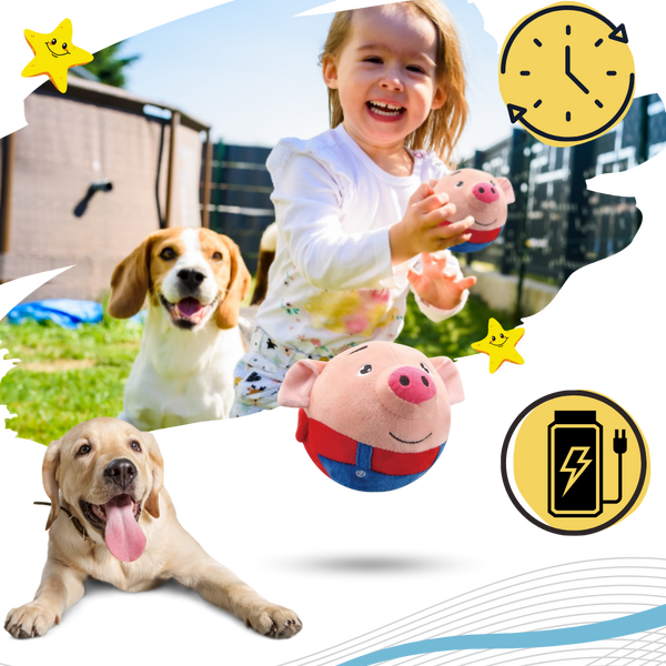 Motion Activated Pet Toy With Bounce Sensor For Engagement And Anxiety Relief