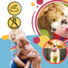 Motion Activated Pet Toy With Bounce Sensor For Engagement And Anxiety Relief