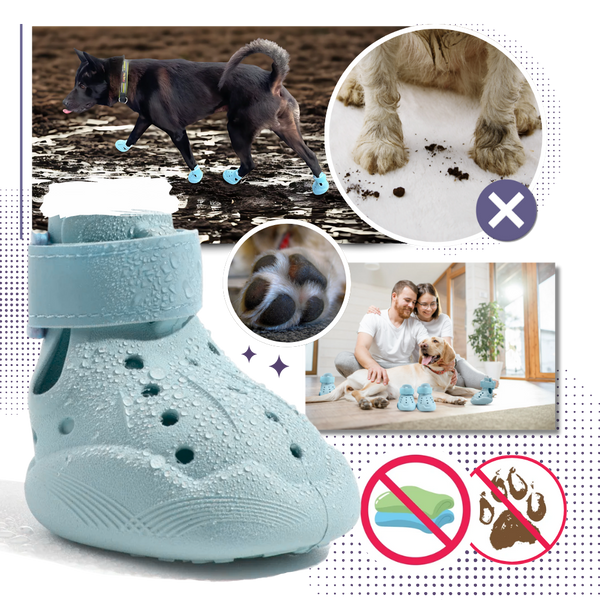Breathable Waterproof Dog Paw Boots With Non Slip All Weather Protection