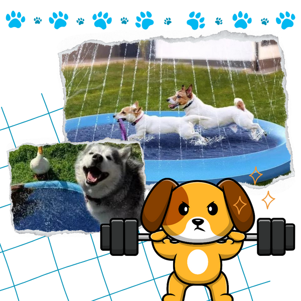 Portable Dog Splash Pad for Easy Setup and Cooling Fun and Agility