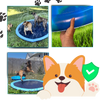 Portable Dog Splash Pad for Easy Setup and Cooling Fun and Agility