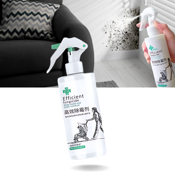 Mold And Mildew Remover Spray For Deep Clean And Regrowth Prevention