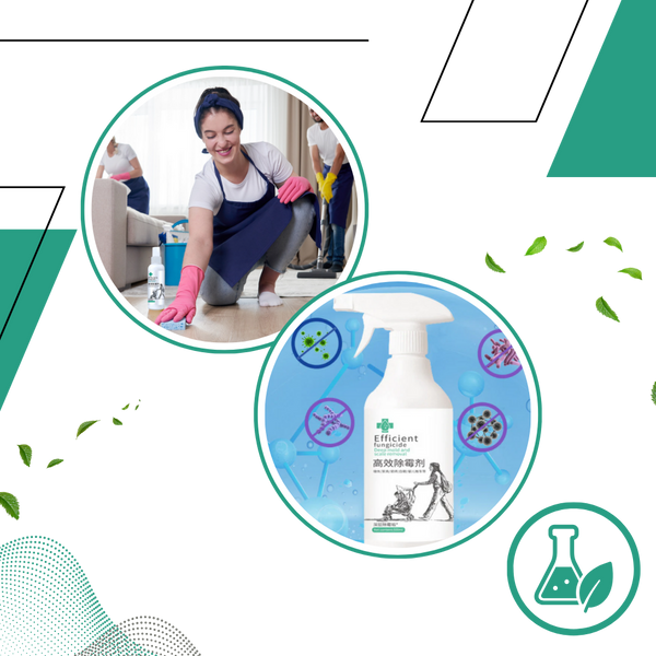 Mold And Mildew Remover Spray For Deep Clean And Regrowth Prevention
