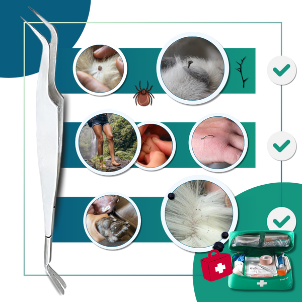 Dual Head Tick Extraction Tool For Humans And Pets With Safe Precision