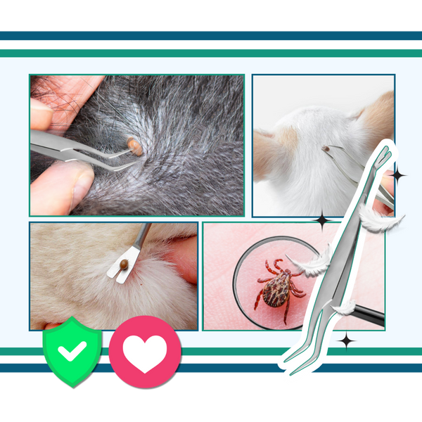 Dual Head Tick Extraction Tool For Humans And Pets With Safe Precision