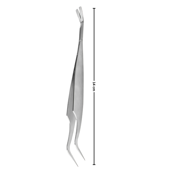Dual Head Tick Extraction Tool For Humans And Pets With Safe Precision