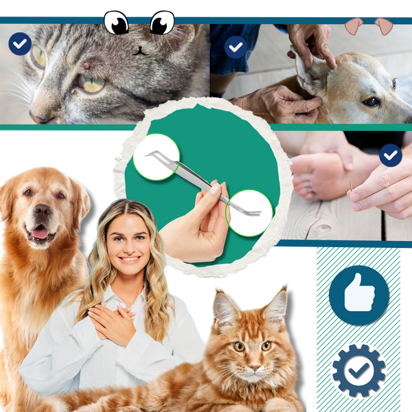 Dual Head Tick Extraction Tool For Humans And Pets With Safe Precision