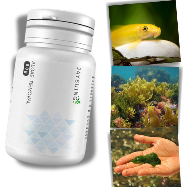 Aquarium Algae Prevention Solution For Clear Safe Water