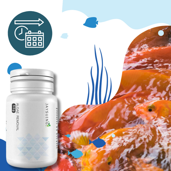 Aquarium Algae Prevention Solution For Clear Safe Water
