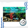 Aquarium Algae Prevention Solution For Clear Safe Water