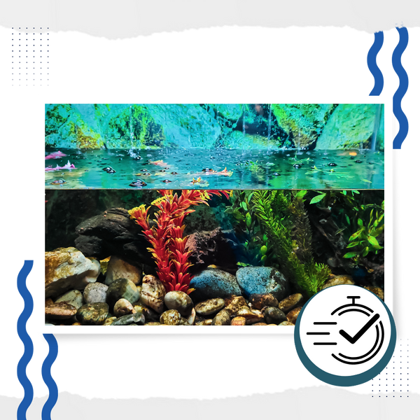 Aquarium Algae Prevention Solution For Clear Safe Water
