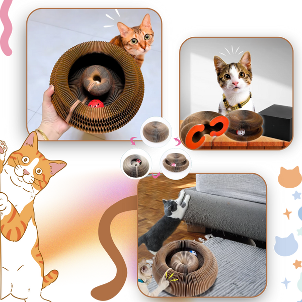 Interactive Cat Scratcher Ball Track for Stress Relief and Fun