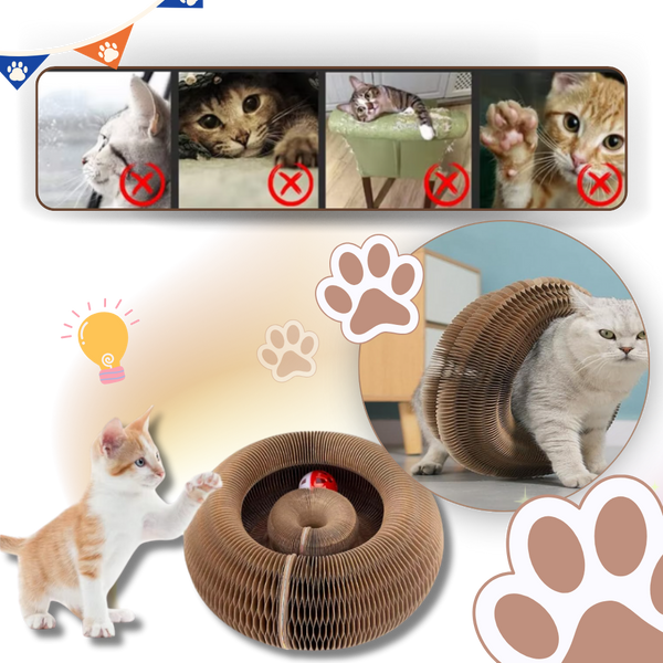 Interactive Cat Scratcher Ball Track for Stress Relief and Fun