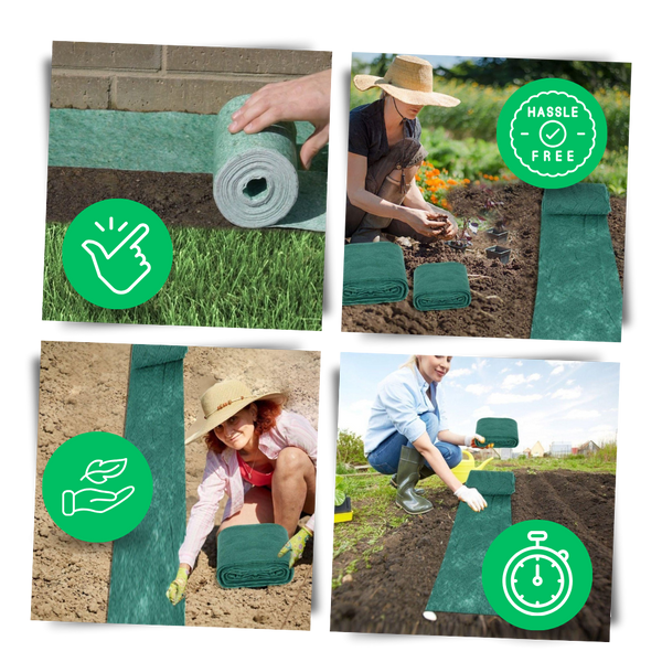 Grass Seed Mat For Rapid Germination And Year Round Green Lawn