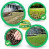 Grass Seed Mat For Rapid Germination And Year Round Green Lawn