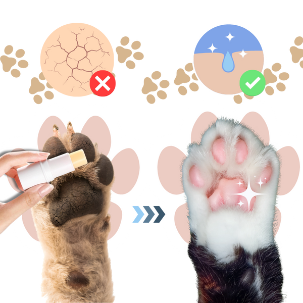 Fast Absorbing Pet Pad Balm Moisturizes Dry Paws For Cats And Dogs