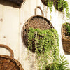 Handwoven Rattan Hanging Wall Planter Eco Friendly Decor For Indoor Plants