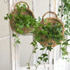 Handwoven Rattan Hanging Wall Planter Eco Friendly Decor For Indoor Plants