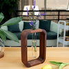 Hollow Plant Propagator Tool For Cloning Cuttings And Seed Starts