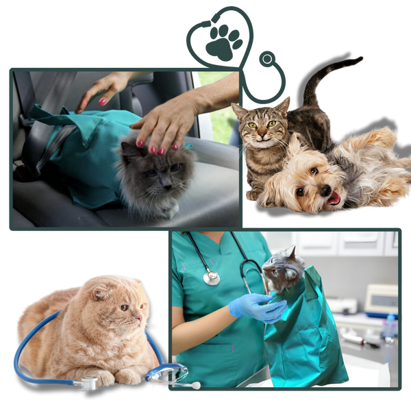Calm Transit Cat Travel Bag For Stress Free Vet Visits And Comfort