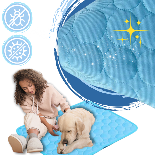 Silk Pet Cooling Pad For Heat Absorption And Odor Free Comfort This Summer