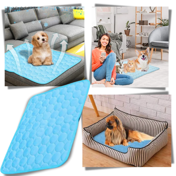 Silk Pet Cooling Pad For Heat Absorption And Odor Free Comfort This Summer