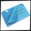 Silk Pet Cooling Pad For Heat Absorption And Odor Free Comfort This Summer