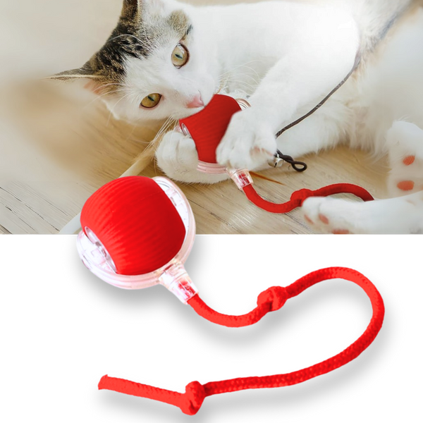 Premium Smart Interactive Cat Ball Toy With Dynamic Motion And Obstacle Avoidance