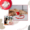 Premium Smart Interactive Cat Ball Toy With Dynamic Motion And Obstacle Avoidance