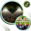 Solar Motion Activated Animal Deterrent With Wide Coverage