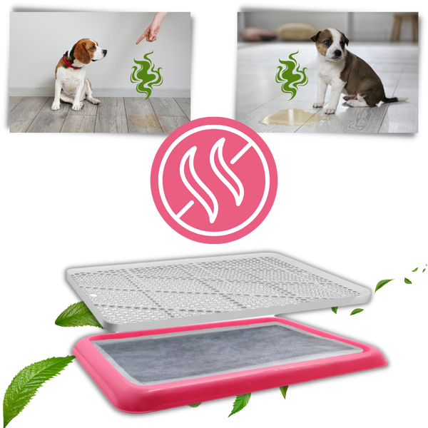 Splashproof Dog Potty Training Pads With Odor Control And Large Coverage