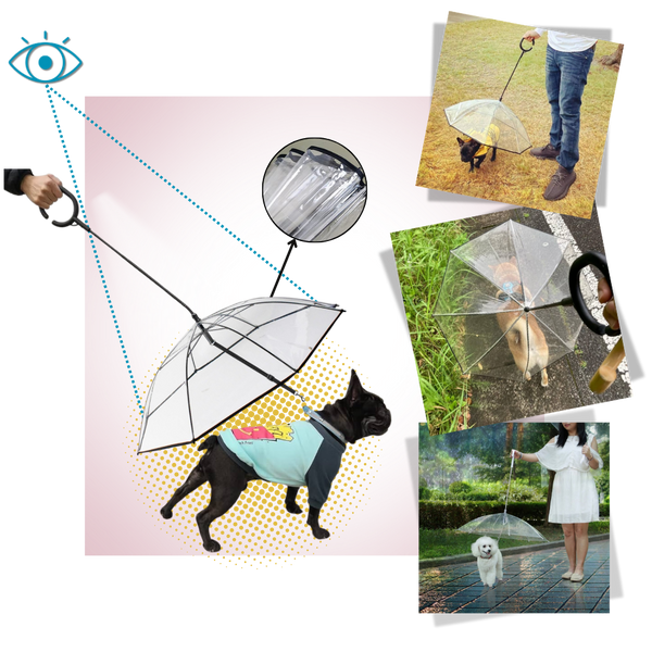 Clear Rainproof Dog Umbrella Leash Keeps Your Dog Dry During Walks